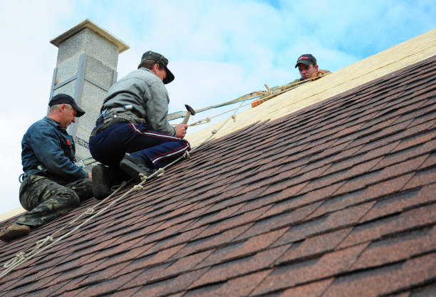 Best Roof Gutter Cleaning  in Moody, AL